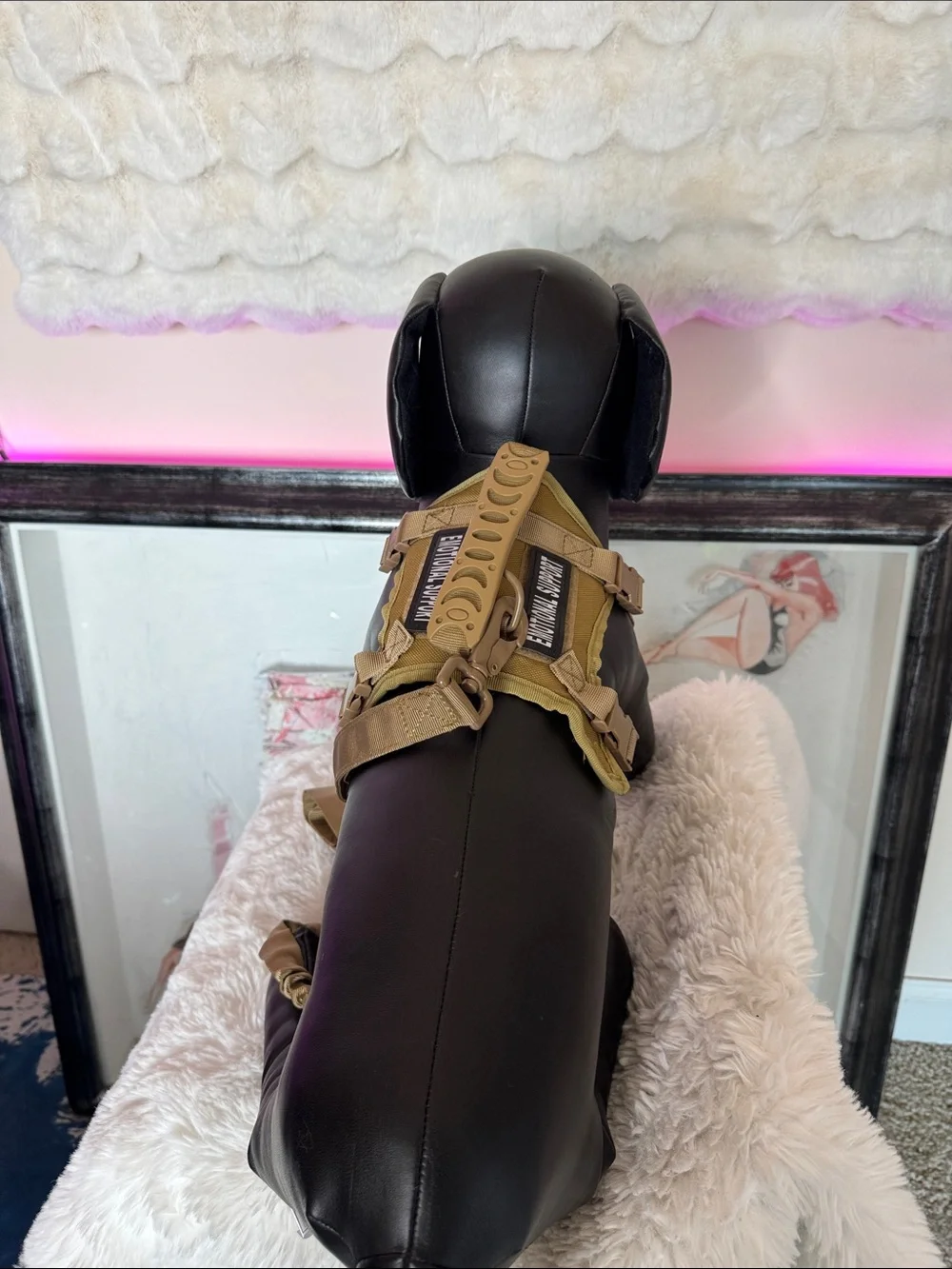 Amazon Tactical Dog Harness and Bungee Leash - Brown